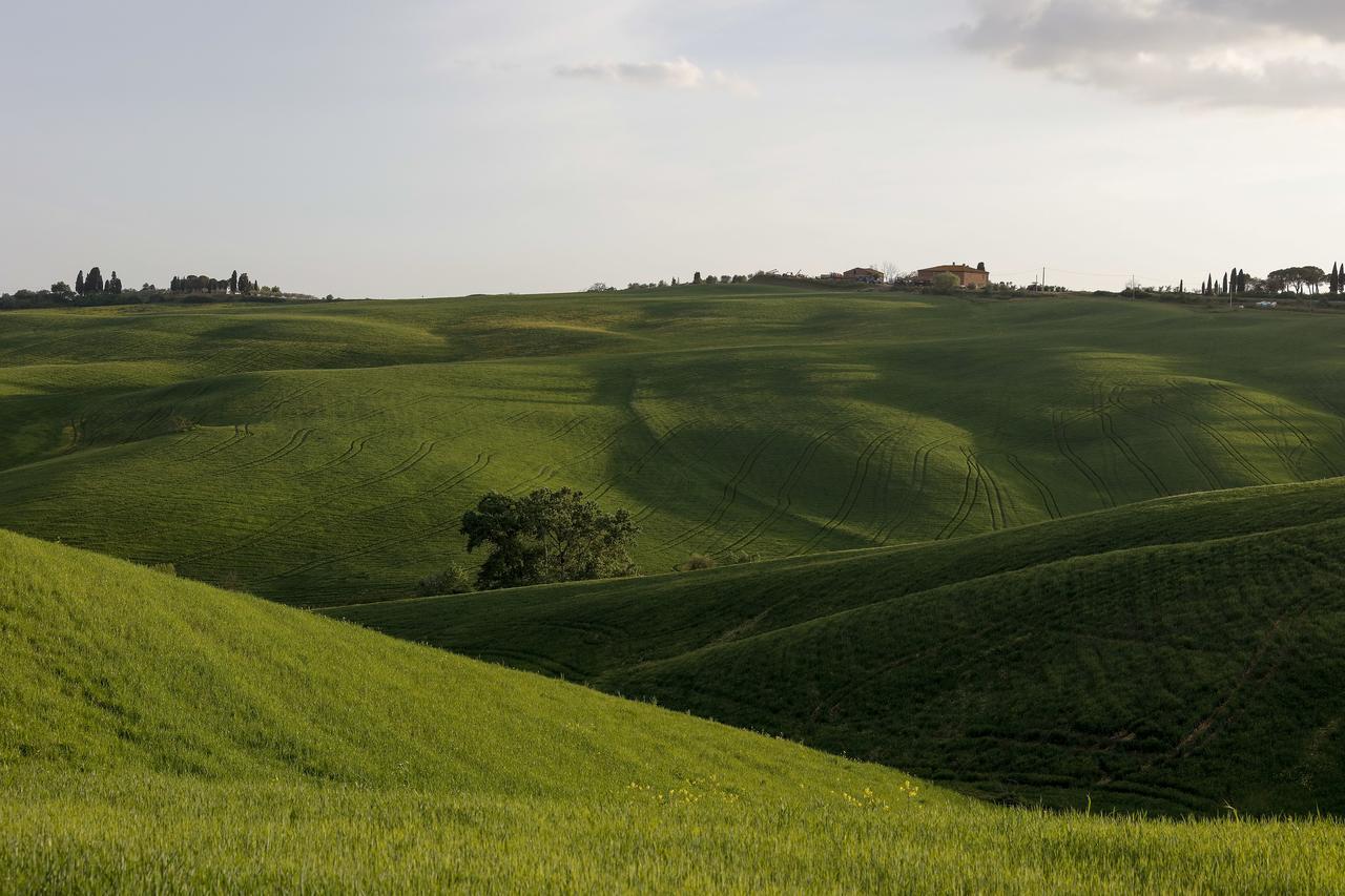 Ferranesi Villa San Giovanni dʼAsso Dış mekan fotoğraf